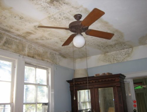Aromatics for Mold Remediation After Flooding