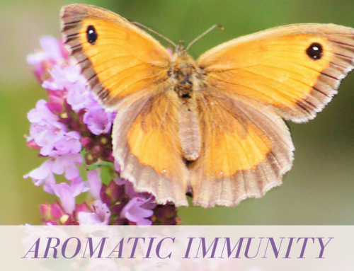 Aromatic Immunity Book
