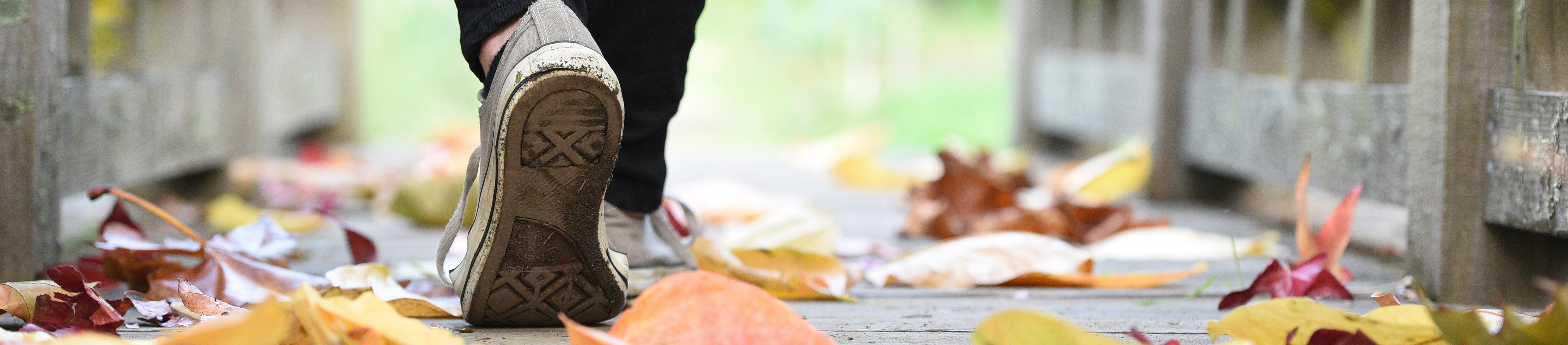 Katy bowman plantar fasciitis sale