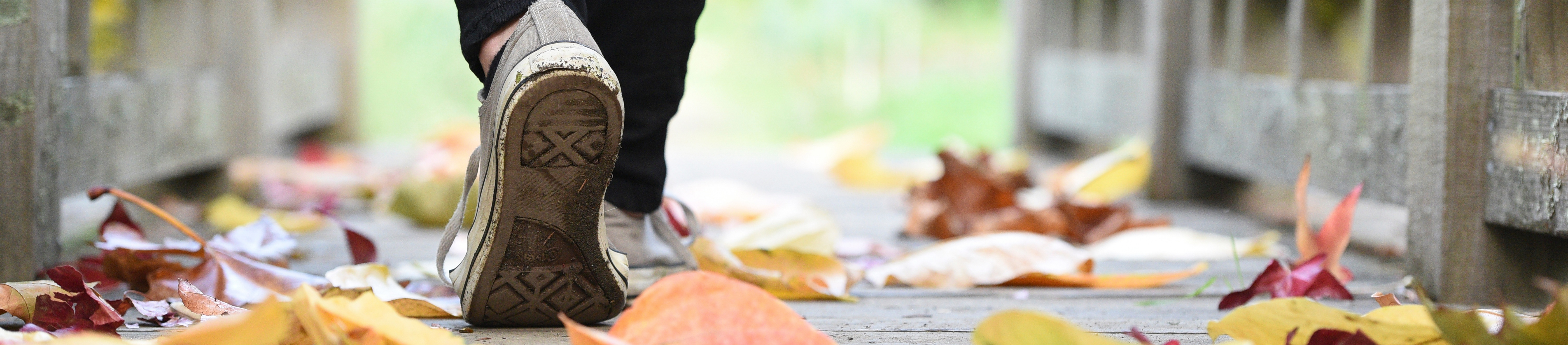 woman walking amongst leaves